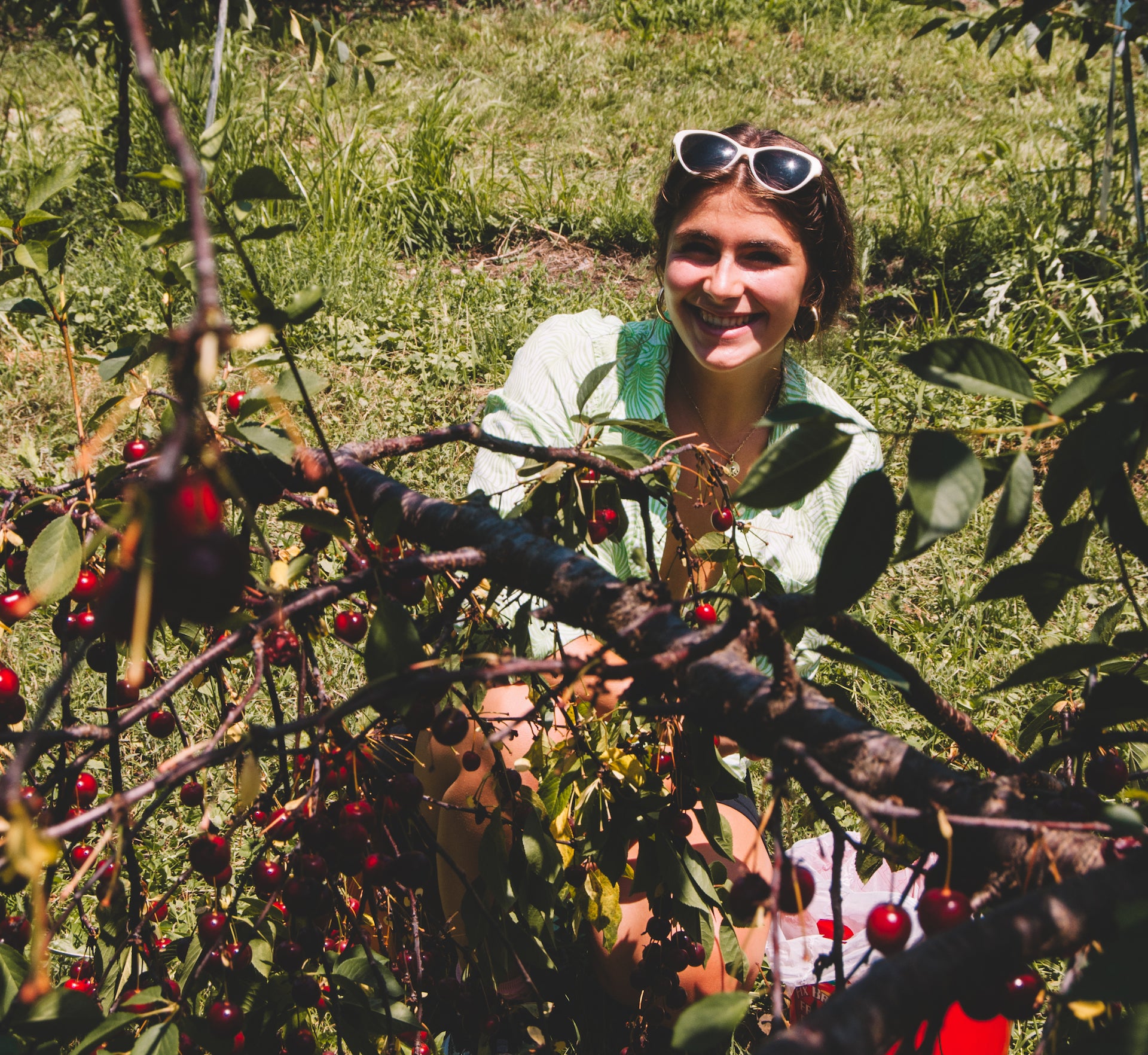 Jamie's Farm Granola New York - Upstate Sour Cherries, Cherry Picking, on a farm smiling