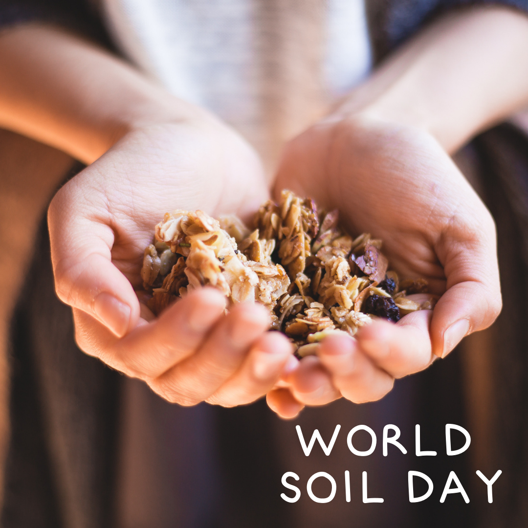 Happy World Soil Day 🌱